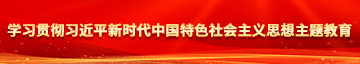 狠操大屁股在线学习贯彻习近平新时代中国特色社会主义思想主题教育